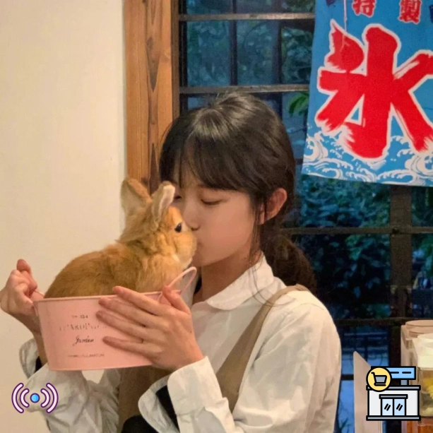 段凯先生